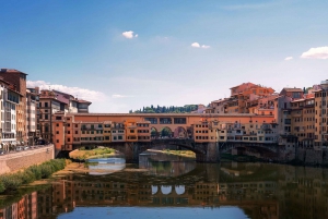Livorno: Florence and Pisa Private Shore Tour
