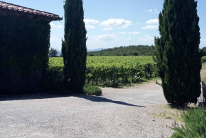 De Livorno: excursão privada a Pisa e Florença