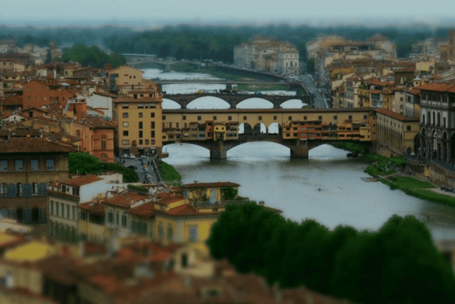 Livourne : excursion privée à Pise et Florence