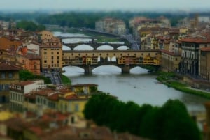 Livorno: Excursión Privada a Pisa y Florencia