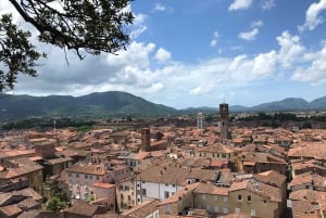 Lucca: 2-timers byvandring i centrum