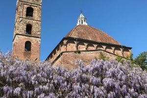 Lucca: 2-timers byvandring i centrum