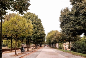 Lucca: Guided Walking Tour