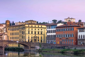 Michelangelo’s David & Medici Treasures Accademia Gallery