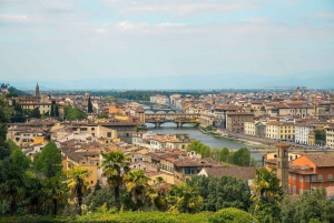 Michelangelo’s David & Medici Treasures Accademia Gallery