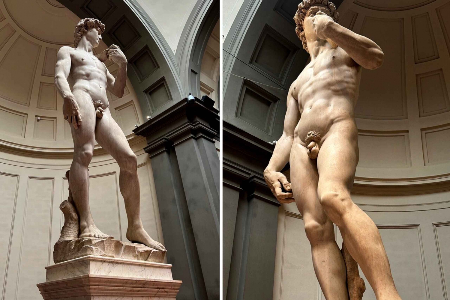 Michelangelo's David & Accademia Priority Ticket with e-Book