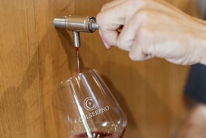 Montalcino: Wijnproeven en Toscaanse lunch