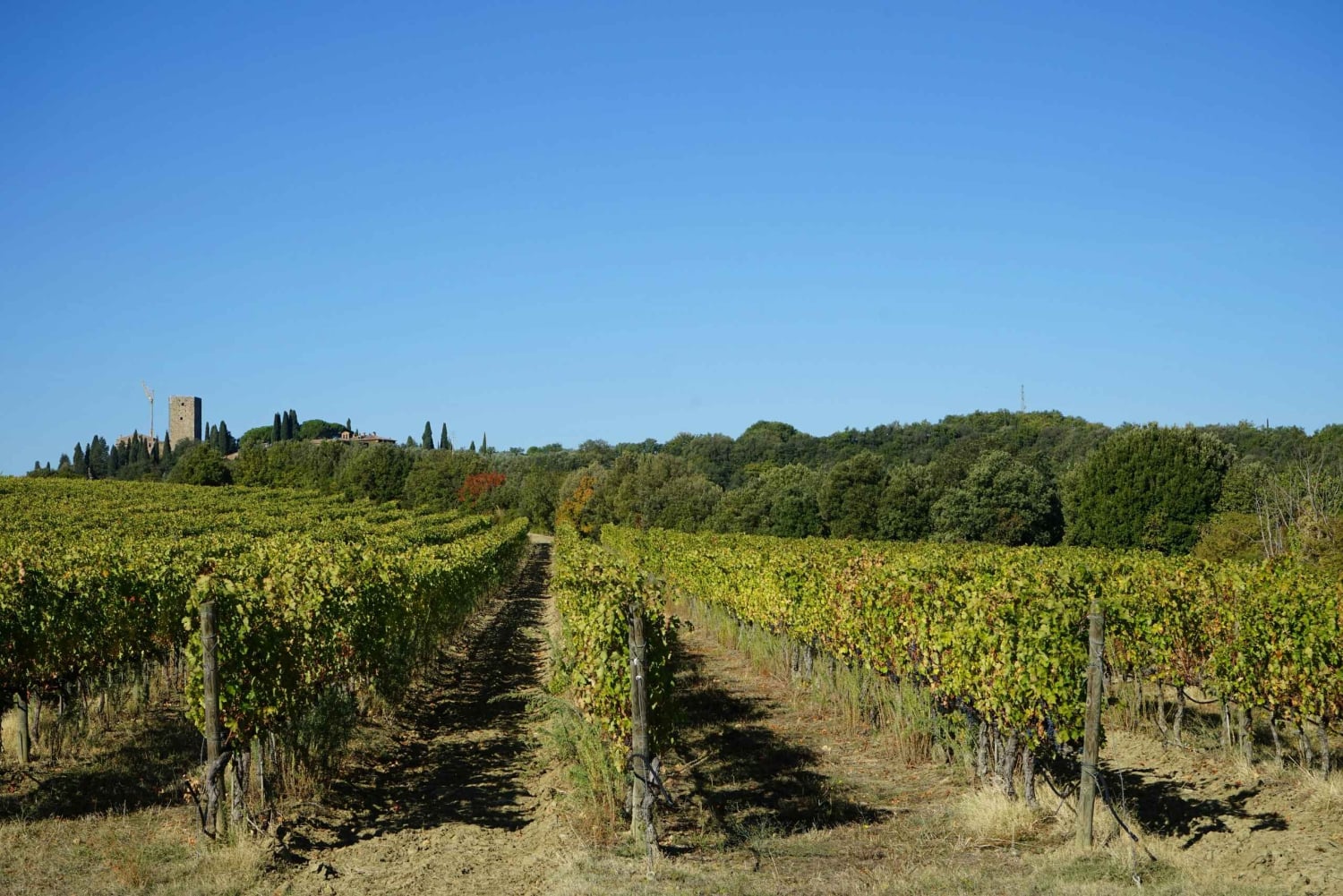 Montepulciano, Montalcino, Cortona – dagstur i små grupper