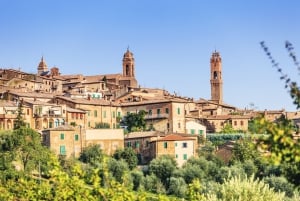 Montepulciano, Montalcino, Cortona – dagstur i små grupper