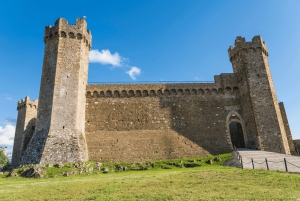 Montepulciano, Montalcino, Cortona – dagstur i små grupper