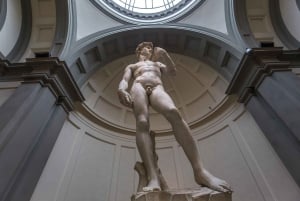 Museer Special: Kombinationstur i liten grupp till Accademia och Uffizierna