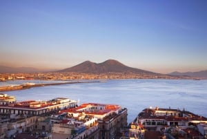 Napoli fra Firenze 1 dag: Høyhastighetstog og Hop On Hop Off