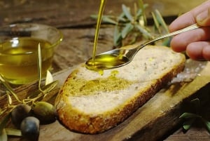 Olive Oil Tasting & Olive Grove Jeep Tour in San Gimignano