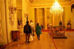 Palatina Gallery and Pitti Guided Tour in Florence
