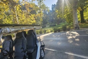 ポルタ・ロマーナからミケランジェロ広場まで、フィレンツェのパノラマをご覧ください