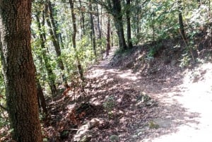 Panoramic hiking in the Florentine hills with Vincenzo