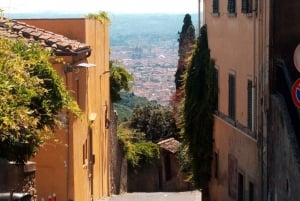 Panoramic hiking in the Florentine hills with Vincenzo