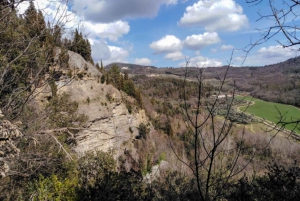 Panoramic hiking in the Florentine hills with Vincenzo
