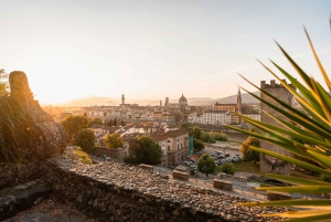 Panoramic walking tour in Florence with Vincenzo