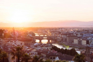 Panoramic walking tour in Florence with Vincenzo