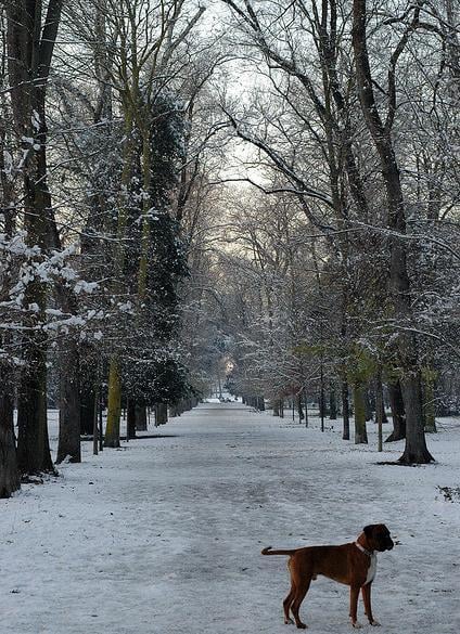 Parco delle Cascine - Cascine Park