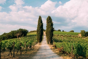 Klasa makaronu we Florencji | Sztuka makaronu + wycieczka po winiarni Chianti