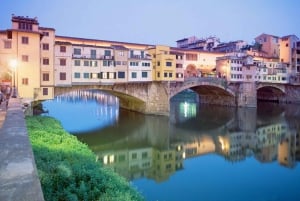 Pisa och Florens privata landutflykter från Livorno