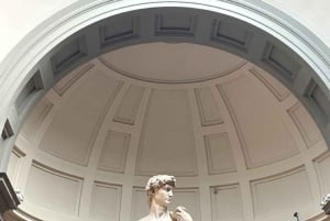 ローマからフィレンツェとピサ:アカデミアとサンタ・クローチェ 小グループ