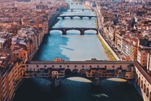 ローマからフィレンツェとピサ:アカデミアとサンタ・クローチェ 小グループ