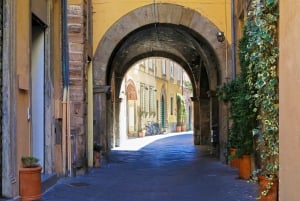 Pisa og Lucca: privat heldagstur med luksusvogn