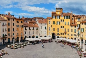 Pisa och Lucca: privat heldagsutflykt med lyxig skåpbil