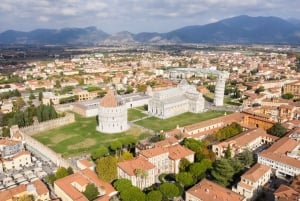 Pisa e Lucca: tour privato di un'intera giornata in furgone deluxe