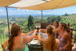 2-Day Tour: Pisa, Cinque Terre & Tuscany