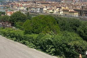 Pisa & Florenz Tour ab Lucca oder Livorno Hafen