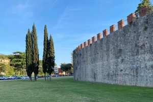 Pisa & Florenz Tour ab Lucca oder Livorno Hafen