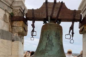 Piza: Wycieczka z przewodnikiem z opcjonalnymi biletami na wieżę