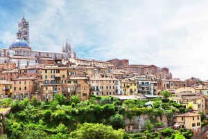 Dagsutflykt till Pisa, Siena, San Gimignano och Chianti från Florens