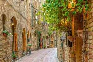 From Florence: Day Trip Pisa, Siena & San Gimignano w/Lunch