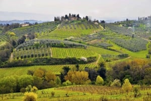 From Florence: Day Trip Pisa, Siena & San Gimignano w/Lunch