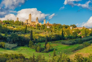 From Florence: Day Trip Pisa, Siena & San Gimignano w/Lunch