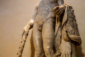 Pitti-palatset och Boboli-trädgårdarna Privat tur