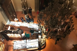 Pitti-palatset och Boboli-trädgårdarna Privat tur