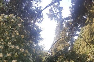 Pitti-palatset och Boboli-trädgårdarna Privat tur