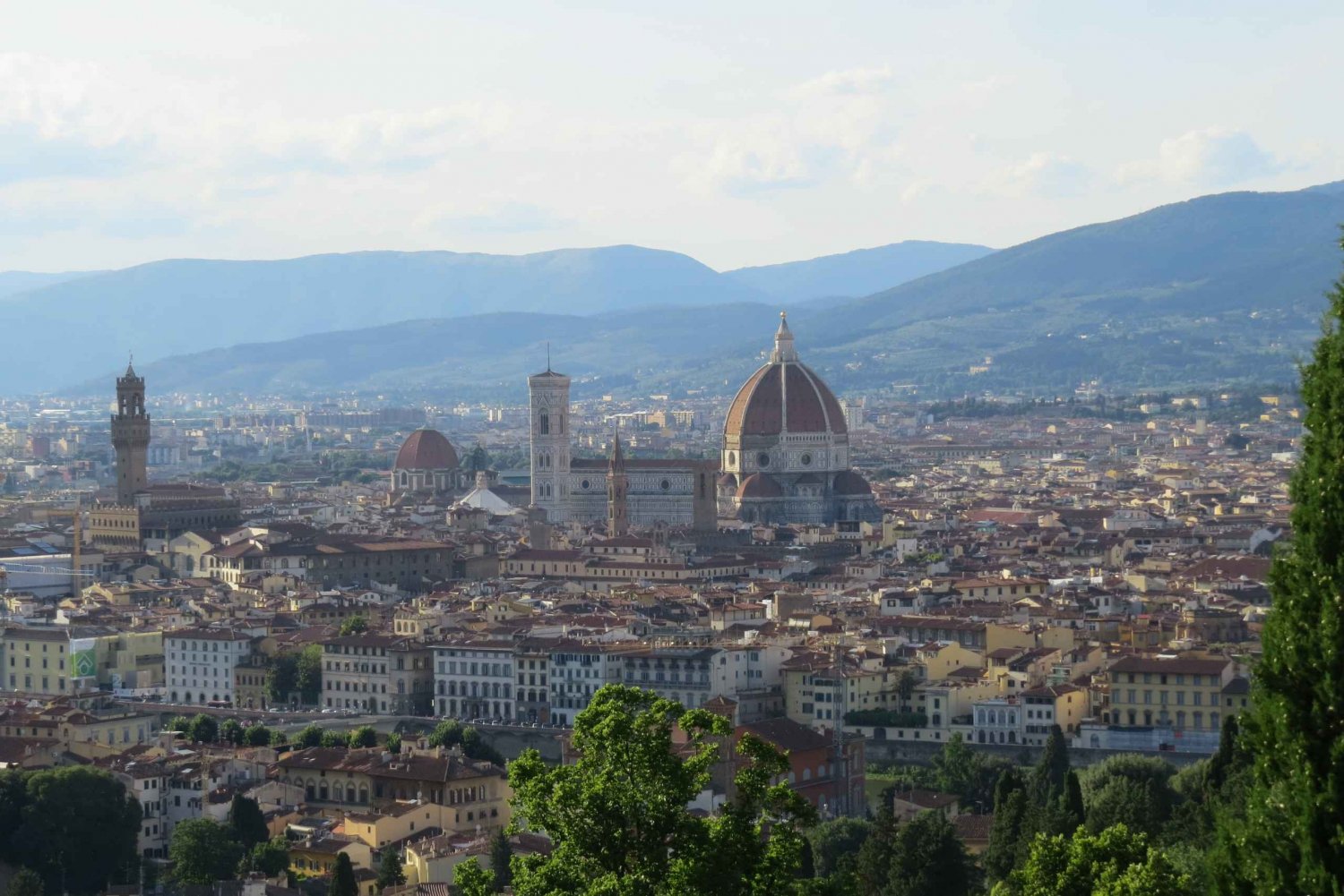 Private Day Tour: Florence with Accademia and Uffizi
