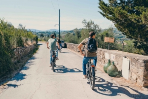 Частный тур на электронном велосипеде: площадь Микеланджело и холмы Флоренции
