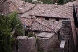 Private Full-Day Brunello Wine Tour of Montalcino