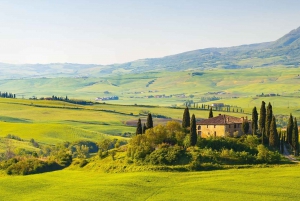 Private Full-Day Tour of Pisa and Florence from Rome