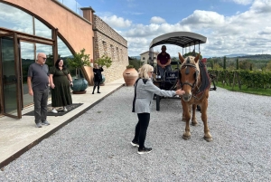 Private Suvereto Wine Tour with Lunch and Tastings