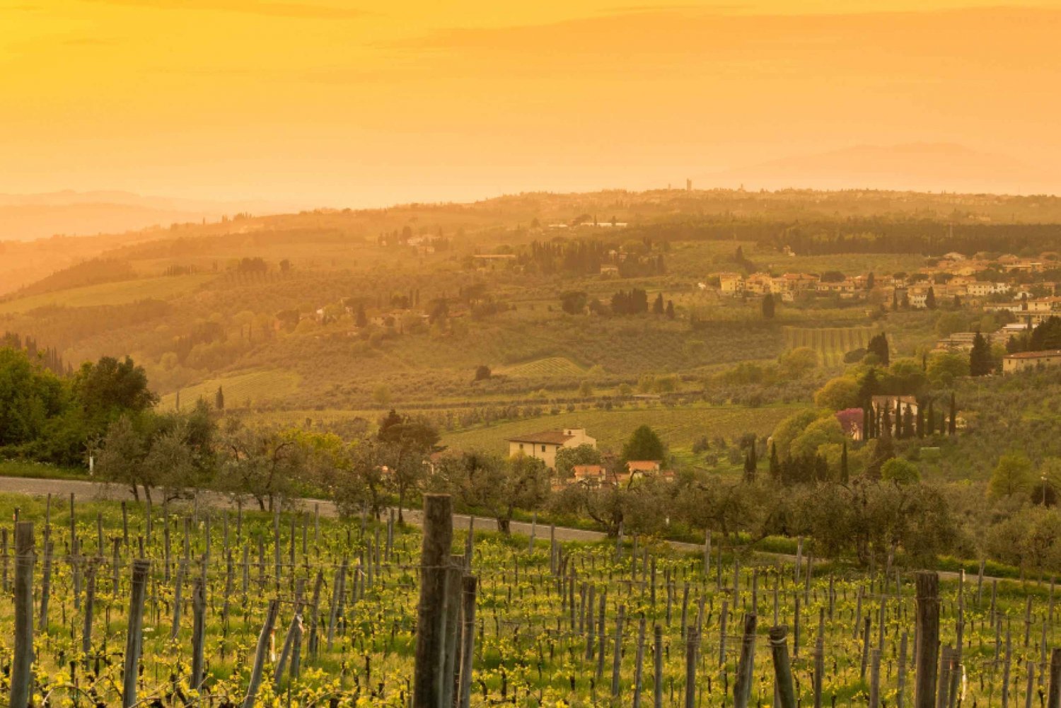 Tour Privado de Chianti, Siena e San Gimignano de Minivan