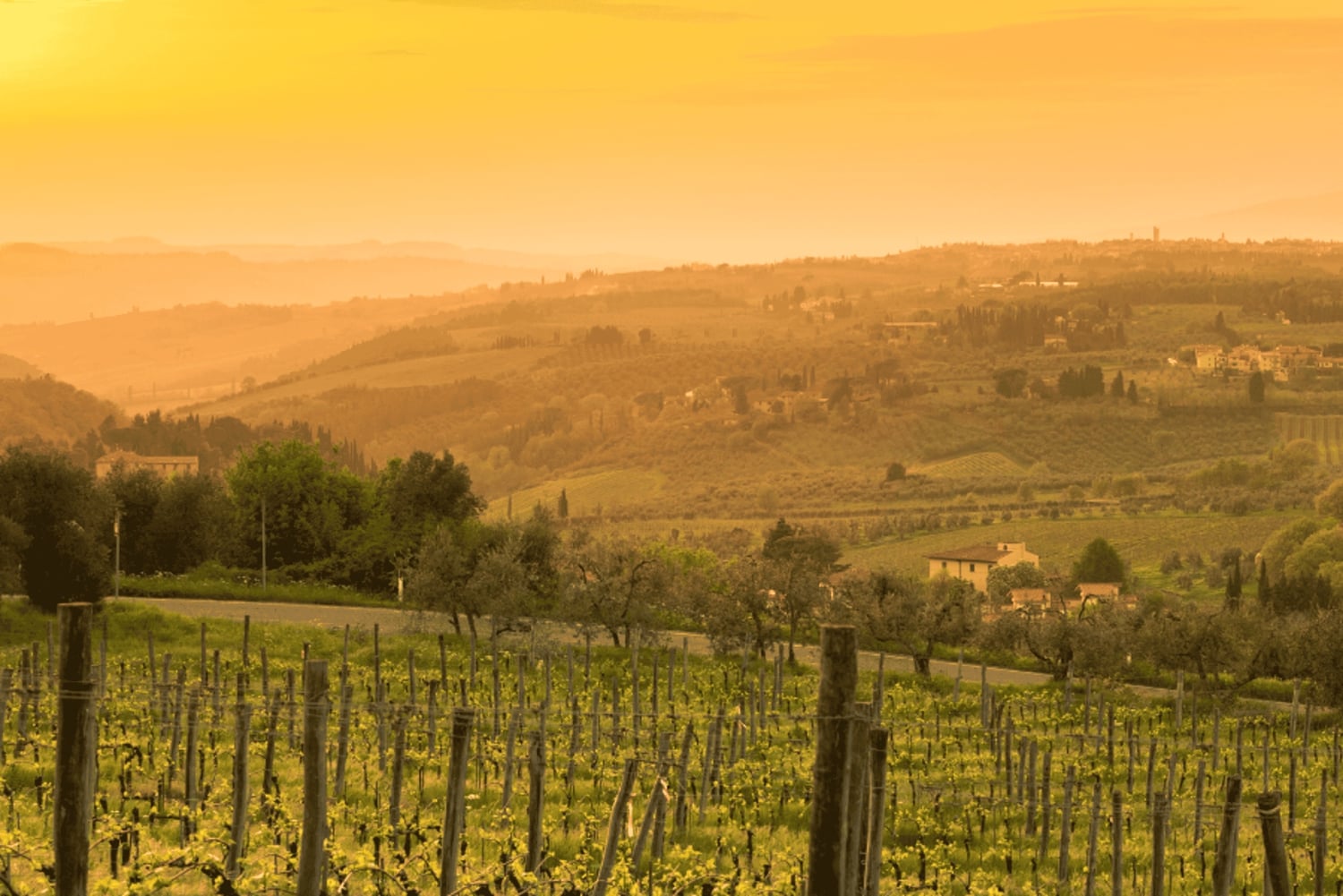 Prywatna wycieczka minivanem po Chianti, Sienie i San Gimignano
